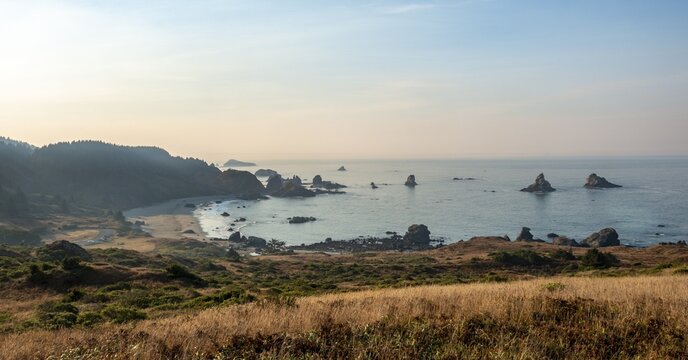 Ragged coast with rocks in the sea, Whaleshead, Samuel H. Boardman State Scenic Corridor, Oregon, USA