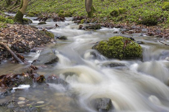Bach Ahne, Ahneschlucht, Habichtswald Nature Park, Hesse, Germany