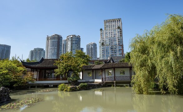 Garden with pond, Traditional Chinese Pagoda in the Dr. Sun Yat-Sen Classical Chinese Garden, high-rise buildings in the back, Vancouver, British Columbia, Canada