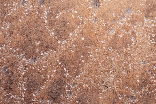 Dried up rivers after years of drought, overgrown with resistant shrubs, aerial view, drone image, Damaraland, Kunene region, Namibia.