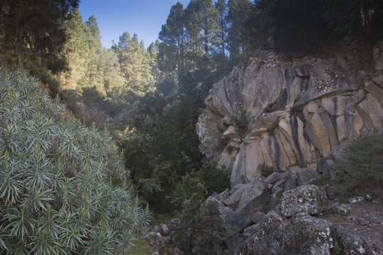 Piedra de la Rosa rock formation, Tenerife, Spain