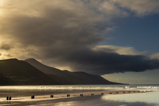 Sandy beach beach with stakes in the sand and mountains and cloudy sky in the background, Killarny, County Kerry, Ireland