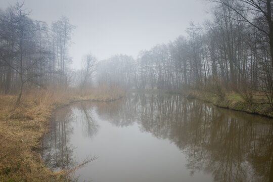 back water of the Ems, Emsland, Lower Saxony, Germany