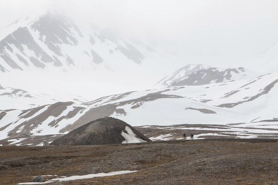 Two cyclists off-road, Ny Alesund, Spitsbergen, Norway