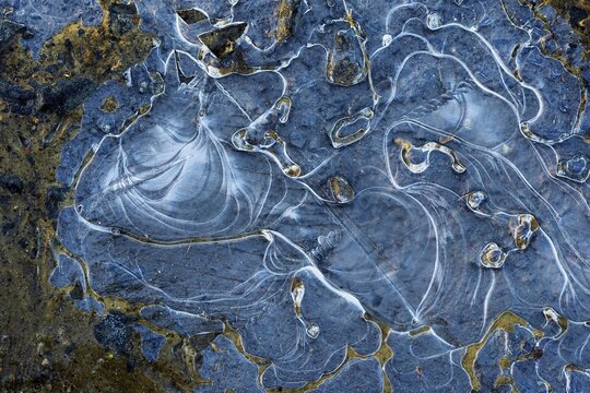 Ice structures in a puddle, Hesse, Germany