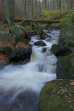River in the Ilse Valley, Saxony-Anhalt, Germany