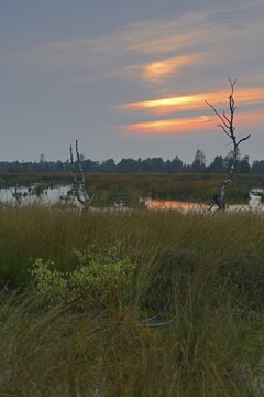 Moorland landscape at sunset, Emsland, Lower Saxony, Germany