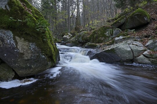 River in the Ilse Valley, Saxony-Anhalt, Germany