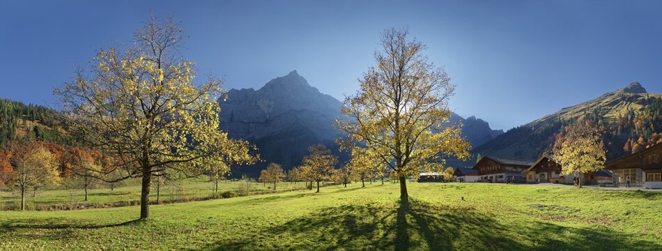 Engalm with autumnal colourful maple trees in low sun below the Spritzkar Karwendel peak, Engalm, Engtal, Karwendel, Pertisau, Hinterri&szlig;, Tyrol, Austria