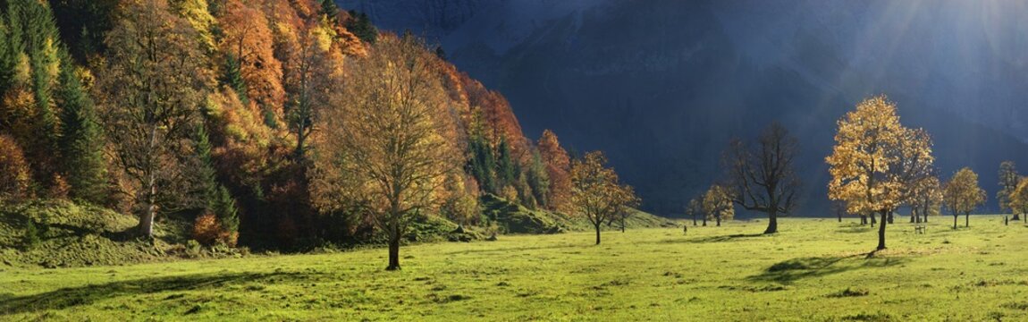 Gro&szlig;er Ahornboden Panorama with autumnal colourful maple trees in low sun, Engalm, Engtal, Karwendel, Pertisau, Hinterri&szlig;, Tyrol, Austria