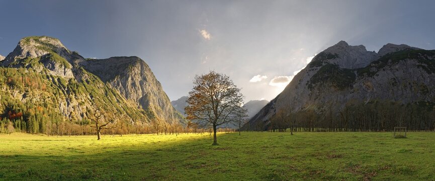 Gro&szlig;er Ahornboden with autumnal colourful maple trees at sunset, Engalm, Engtal, Karwendel, Pertisau, Hinterri&szlig;, Tyrol, Austria