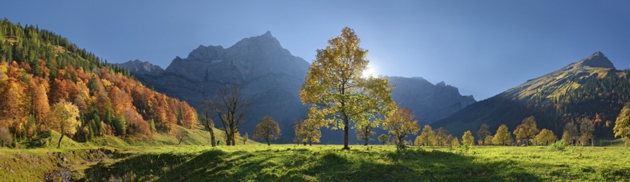 Gro&szlig;er Ahornboden Panorama with autumnal colourful maple trees in low sun below the Spritzkar and Grubenkar Karwendel peaks, Engalm, Engtal, Karwendel, Pertisau, Hinterri&szlig;, Tyrol, Austria