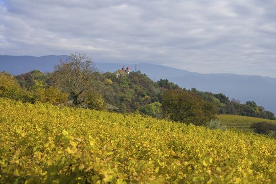 Autumn vineyards and Gleif Chapel, St. Michael, South Tyrol, Italy
