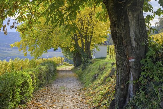 Way of the Cross to the Gleif Chapel, St. Michael, South Tyrol, Italy