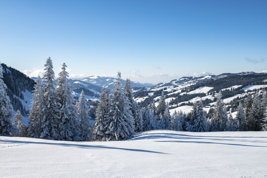 Snowy winter landscape on the Gurnigel Pass, Gantrisch nature Park, Canton Bern, Switzerland