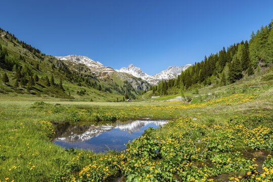 Alpine pasture in the Riedingtal nature Park, Niedere Tauern, Lungau, Salzburg, Austria