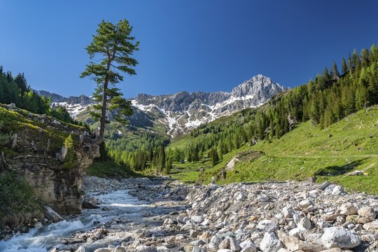 Gro&szlig;er Kesselbach flows through Alm, Riedingtal nature Park, Niedere Tauern, Lungau, Salzburg, Austria