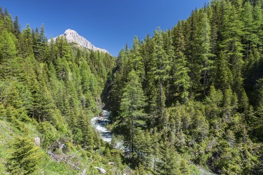 Riedingbach, Riedingtal nature Park, Niedere Tauern, Lungau, Salzburg, Austria