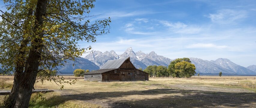Historic old barn in front of the Teton Range, T.A. Moulton Barn, Mormon Row Historic District, Grand Teton National Park, Wyoming, USA