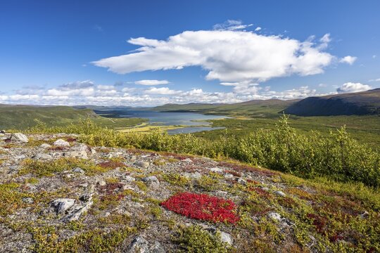 View of the Visttasjohka river delta and Lake Paittasj&auml;rvi, Nikkaluokta, Lapland, Sweden