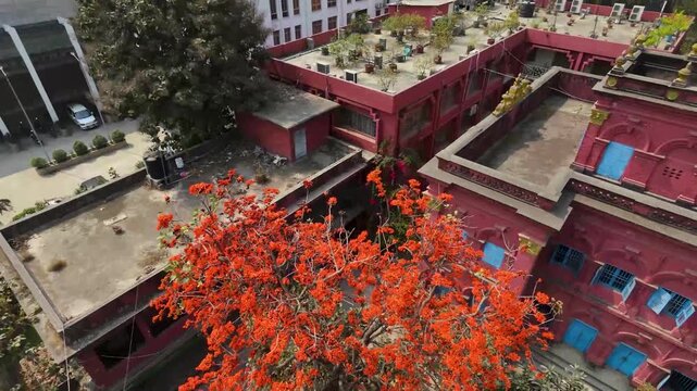 Vibrant red bottlebrush flowers blooming in urban landscape with telecom towers under clear sky