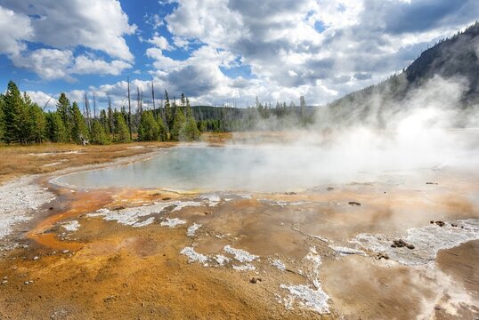 Black Opal Pool, Hot Spring, Yellow Algae and Mineral Deposits, Biscuit Basin, Yellowstone National Park, Wyoming, USA