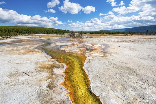 Yellow bacteria and algae in a hot spring at Black Sand Basin and Biscuit Basin, Yellowstone National Park, Wyoming, USA