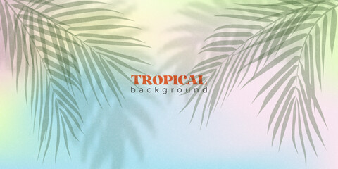 Fototapeta premium Summer background with softly blurred palm leaves