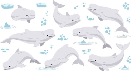 Beluga Whale Marine Wildlife Illustration Set Featuring Swimming, Diving, and Playing Poses of Arctic Ocean Mammal with Ice and Bubbles. © MstSuborna