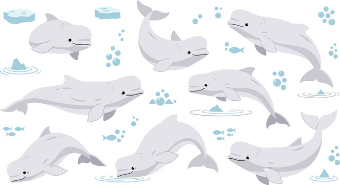Beluga Whale Marine Wildlife Illustration Set Featuring Swimming, Diving, and Playing Poses of Arctic Ocean Mammal with Ice and Bubbles.