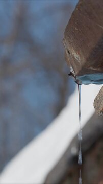 Snowladen roof with melting icicle. Frozen droplets cascade from gutter beneath leafless trees. Capturing serene winter scene with melting ice hanging from building roof