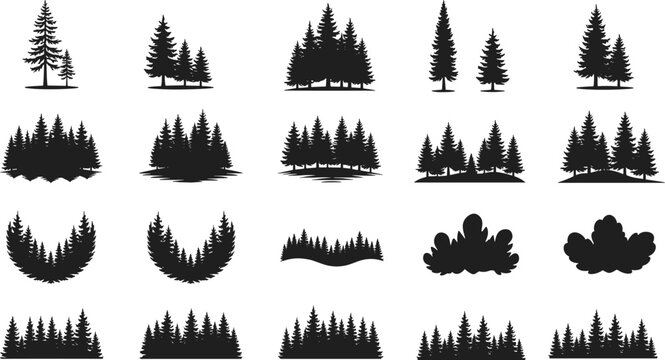 Large set of black forest silhouettes featuring pine and fir tree groups for nature mountain scenery, outdoor camping adventure design, and evergreen woodland environment illustrations.