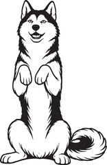 Siberian Husky Sitting Beg Pose Front View Black and White Line Art Illustration © chien
