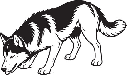 Siberian Husky Drinking Posture Three Quarter View Black and White Line Art Illustration © chien