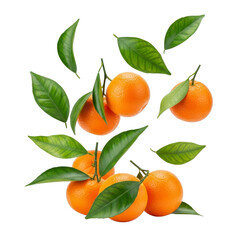 Tangerines with leaves isolated on transparent background