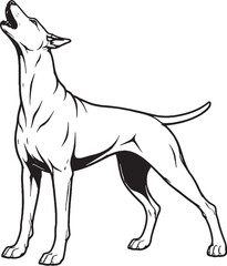 Obraz premium Doberman Pinscher Howling Head Up Black and White Line Art Illustration