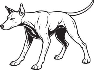 Obraz premium Doberman Pinscher Full Body Shake Black and White Line Art Illustration