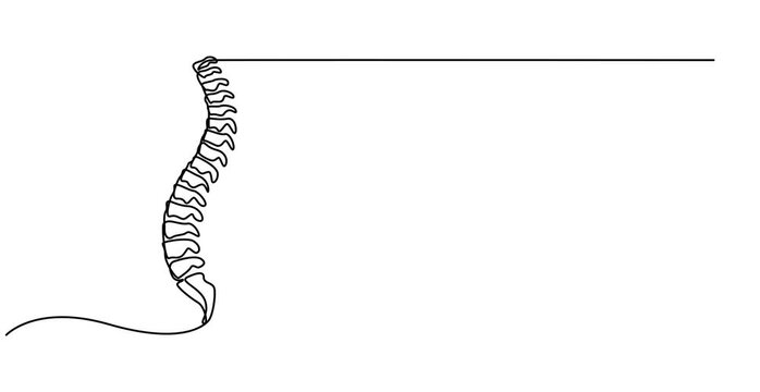 Animation video  spine, Continuous one line drawing bones of human hand.  Wrist bones in single line art Animation video . Chiropractor spine. Continuous one line drawing on Animation 4k