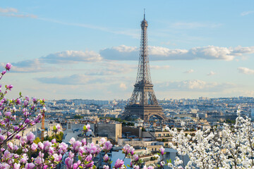 eiffel tour and Paris cityscape