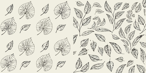 Delicate botanical illustration featuring various sketched leaves and foliage © Mithun