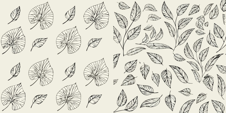 Delicate botanical illustration featuring various sketched leaves and foliage