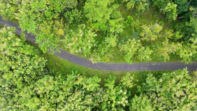Aerial nadir view with smooth right-to-left sideways movement over a curved asphalt road and dense tropical foliage.