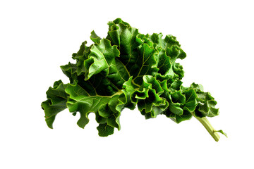 Obraz premium green salad leaves isolated on white background