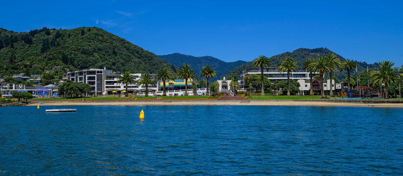 Picton Foreshore, a beach promenade in Picton lined with stately palm trees, New Zealand