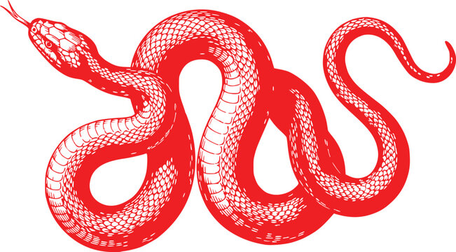 Red Snake Illustration Hand Drawn Serpent Vector Art