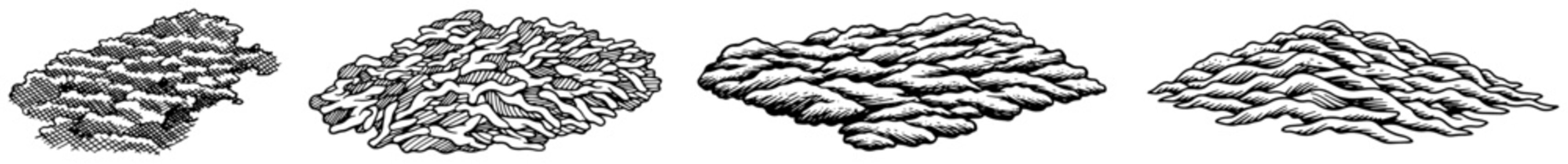 Set of four detailed cloud illustrations drawn in vintage engraving style