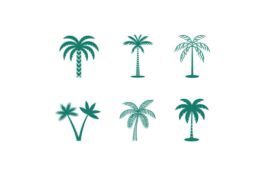 Collection of six different dark green palm tree silhouettes on white background trees silhouette.