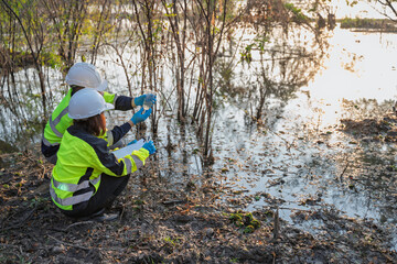 Environmental engineers collect water samples from a swamp for quality testing. Ecological research and field analysis for sustainability and nature conservation projects. © reewungjunerr