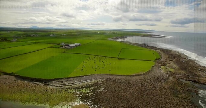 Drone panning coast glitch bands obscuring view revealing fields farm grazing herd for agriculture