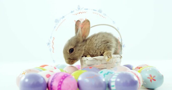 Brown rabbit sitting in basket, seeing pastel eggs, sniffing, pushing rim, climbing for marketing